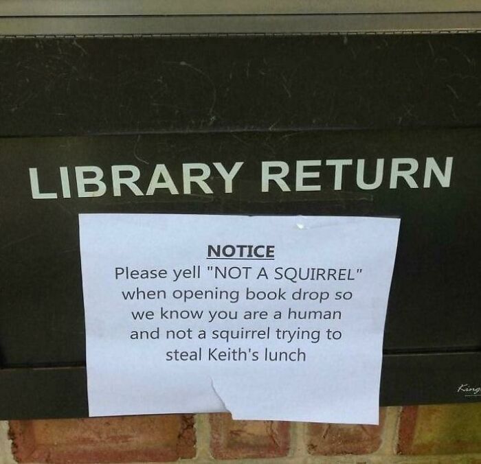 hilarious signs for stupid people - funny library memes - Library Return Notice Please yell "Not A Squirrel" when opening book drop so we know you are a human and not a squirrel trying to steal Keith's lunch King