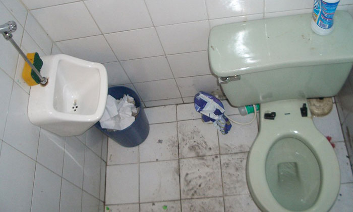worst jobs - toilet