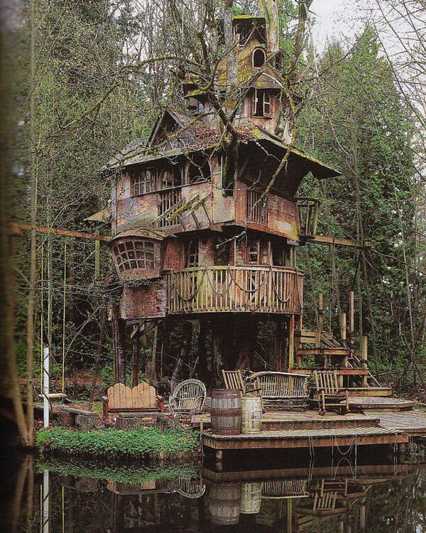 Forgotten Treehouse in Redmond, Washington