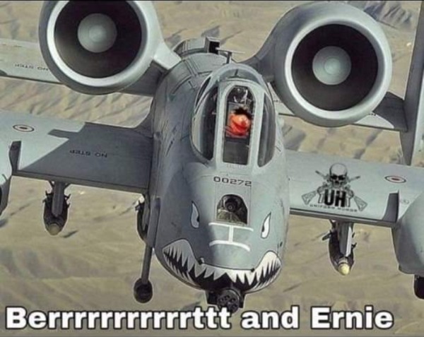 spicey memes - a10 plane - No Ster No Step 00278 Berrrrrrrrrrrttt and Ernie Tuh ANNEO_BAraine,