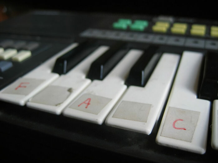 Oh man. When I was 7 I had been learning how to play the keyboard for two years. It was one of those Casio keyboards that had light up keys to learn how to play a song. If you put the easy setting on you could literally hit 1 or 2 keys over and over again and it would play the entire song through. So at the age of 7 my grandparents thought I was a prodigy. I could 'play' Fur Elise, Canon in D and Moonlight Sonata. Family and friends would come over to listen/watch me play and were astounded. 2 years or so go by like this. For my 10th birthday my grandparents bought me a real piano and signed me up for a summer camp where 'prodigies' of different instruments went to compete. VERY expensive. My entire family, friends from school and a priest family friend was there for my birthday party and wanted to hear me play on my new piano. I broke down crying and ran to my room and confessed to my grand-mom what I had been doing for years and it broke her heart AND trust for me. It sucked. I still cringe when I think about it. I've been playing for over 20 years now though and can play all of the songs I listed and probably hundreds more now.