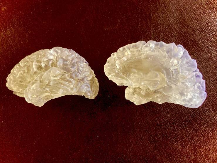 "Received a 3D printout of my brain after volunteering many hours in an FMRI study."