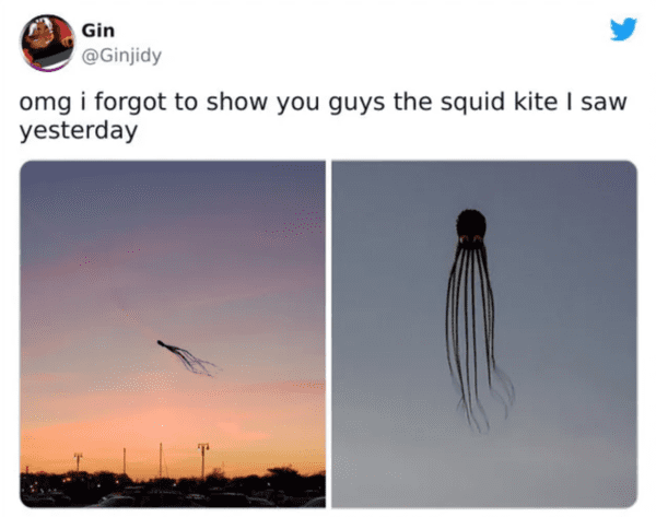 fascinating and terrifying things - oddly terrifying - Gin omg i forgot to show you guys the squid kite I saw yesterday