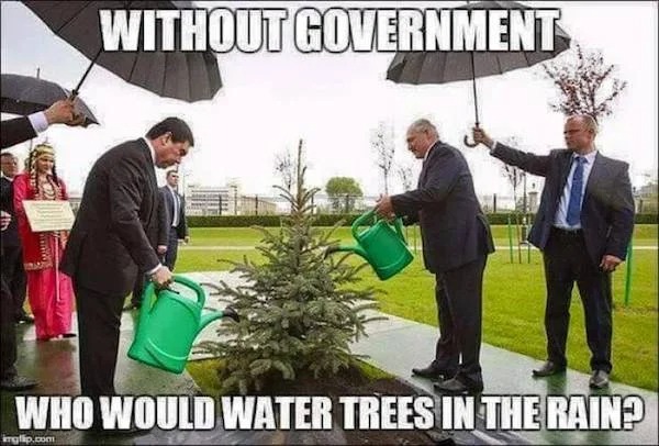 accurate memes - dank memes - without government who would water trees - Without Government Who Would Water Trees In The Rain? inglip.com 1670