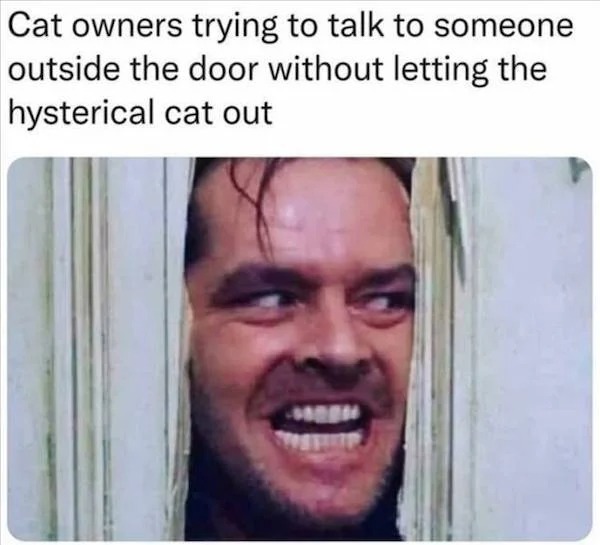 accurate memes - dank memes - shining 1980 dvd cover - Cat owners trying to talk to someone outside the door without letting the hysterical cat out