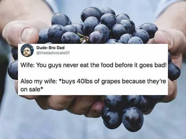 accurate memes - dank memes - DudeBro Dad Wife You guys never eat the food before it goes bad! Also my wife buys 40lbs of grapes because they're on sale