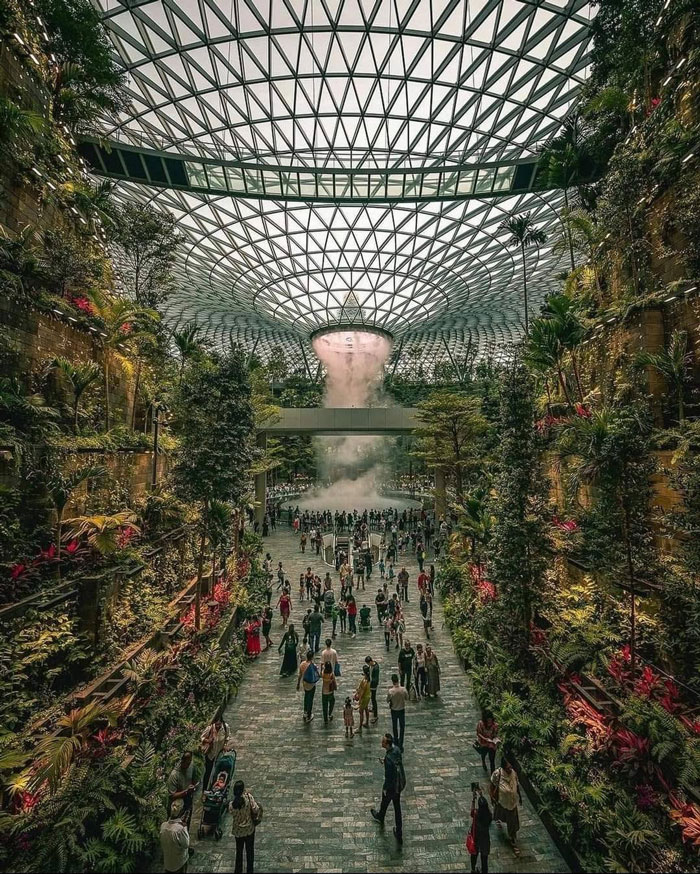 amazing discoveries - singapore indoor garden