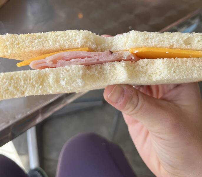 "My wife was in shock when she received this $9 sandwich this afternoon…"