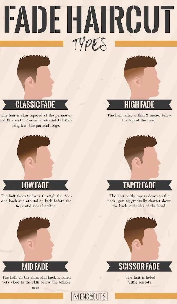 helpful guides - infographics - types of fade haircut - Fade Haircut Types Classic Fade High Fade The hair is skin tapered at the perimeter hairline and increases to around 14inch length at the parietal ridge. The hair fades within 2 inches below the top 
