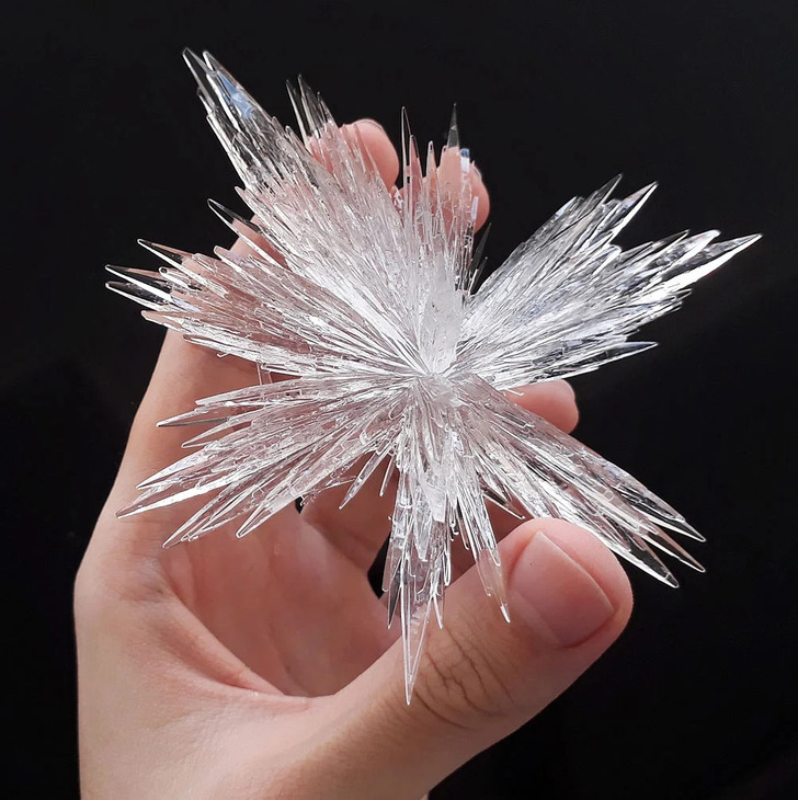 science pics and cool things - growing crystals