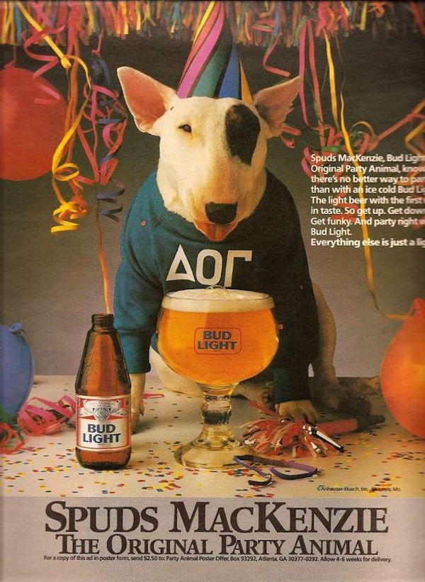 vintage ads - spuds mackenzie - Tho Spuds MacKenzie, Bud Light Original Party Animal, know there's no better way to par than with an ice cold Bud Li The light beer with the first in taste. So get up. Get down Get funky. And party right w Bud Light. Everyt