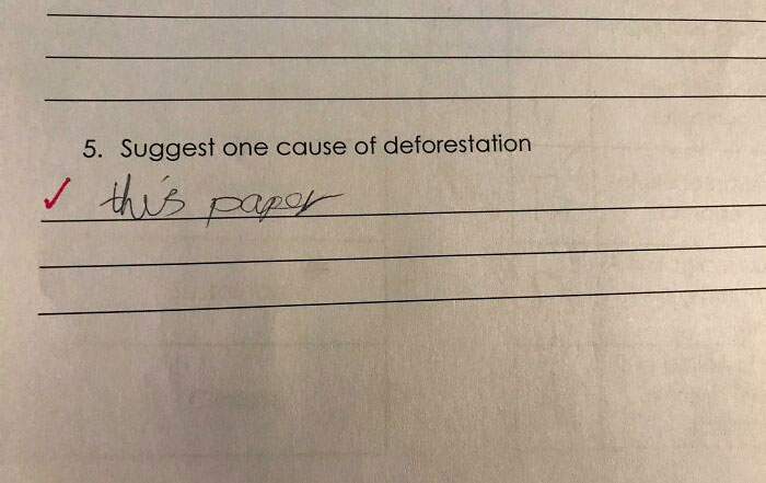 My Wife Is A Teacher And Found This While Marking An Assessment