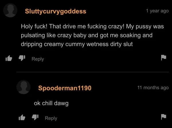 36 Pornhub Comments That Are Insanity.