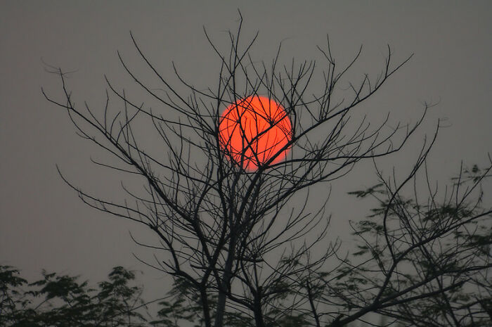 One of my ex-coworkers was convinced that the sun and the moon were the same thing. He thought it turned around at night and became the moon. He was astonished one morning when I pointed to the moon in broad daylight. I thought he was going to have a panic attack. Luckily, we were sharing a joint behind the warehouse and he calmed down a bit. He still didn’t fully understand and kept glancing at the sky for the rest of our shift.