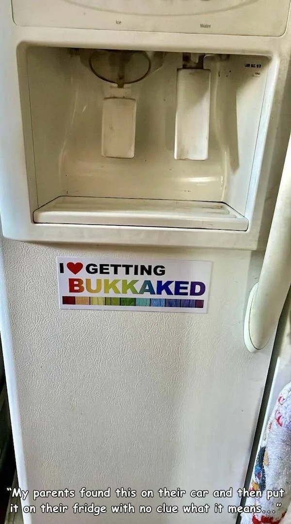 dank and dirty pics - refrigerator - I Getting Bukkaked Lable St