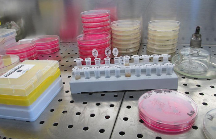 Not a coworker but a lab partner in school. We were making bacteria cultures and the teacher was explaining that the petri dishes were sterile. "So don’t, like, open it and smell it, don't touch it with anything but the swab...."

Moron immediately picks it up and smells it. We failed.

He sells cars now