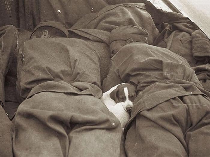 historical pictures - snuggle meme