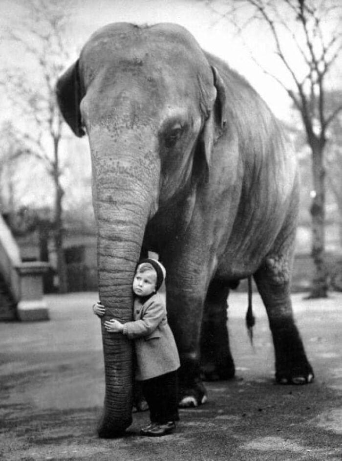 historical pictures - child hugging elephant
