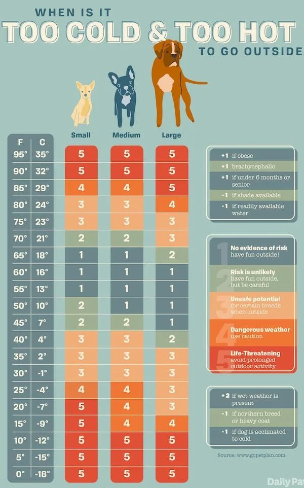 cool charts - infographics - cold is too cold for dogs - When Is It Too Cold & Too Hot To Go Outside Small Medium Large F C 95 35 5 1 if obese 1 brachycephalic 90 32 5 1 if under 6 months or senior 85 29 1 if shade available 80 24 1 if readily available w