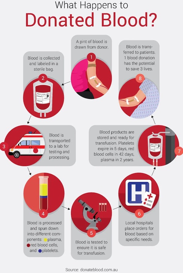 cool charts - infographics - blood donation process - 3 ele What Happens to Donated Blood? A pint of blood is drawn from donor. 1 Blood is collected and labeled in a sterile bag. Blood is trans ferred to patients. 1 blood donation has the potential to sav