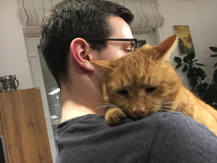 wholesome pics - my boyfriend is a cat