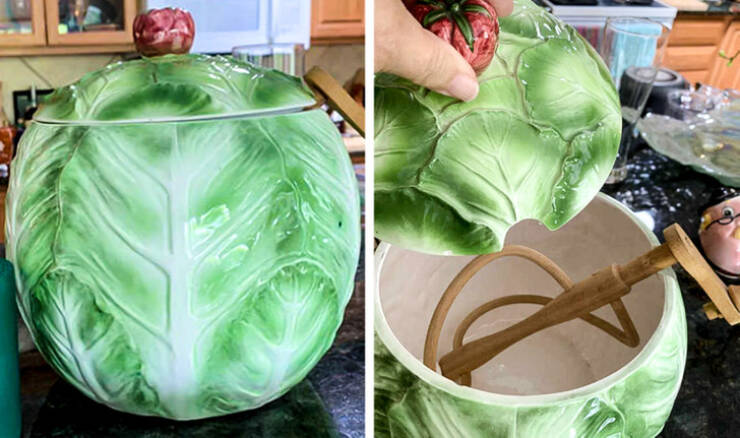 fascinating photos - cabbage