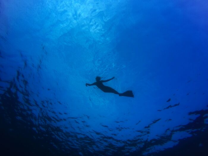 I've posted this before but it's been a year, so f**k it haha

So this is proper babby's first free dive material and I've since learned I'm terrified of the ocean, so this probably isn't that scary to most people. However...

I was on a boat tour that stopped off in a small bay with f*****g beautiful, crystal clear, light turquoise water and nearly white sands. We'd just finished swimming with some sting rays when the tour guide offered to take some of us out for a swim in deeper water.

I was hesitant as he said the current can get quite strong and I'm not the best swimmer, but he said I could join them for as long as I felt comfortable, so I came along.

There was a small group going at a leisurely pace that I could clearly see, so I decided to do some free diving. As I said, the water was gorgeously clear. I was diving down to these little reef outcrops and checking out the fish and had barely looked ahead of me other than to check on the group.

I finished inspecting another little coral group and turned around to see where the group were and suddenly saw the sandy sea floor disappear over a knife sharp drop off. The water was so deep and inky blue with no sea floor in sight and my stomach somehow dropped into my a*s and jumped into my throat at the same time.

I surfaced ASAP and got as far away from the drop off as possible and tried to pretend I never saw it.