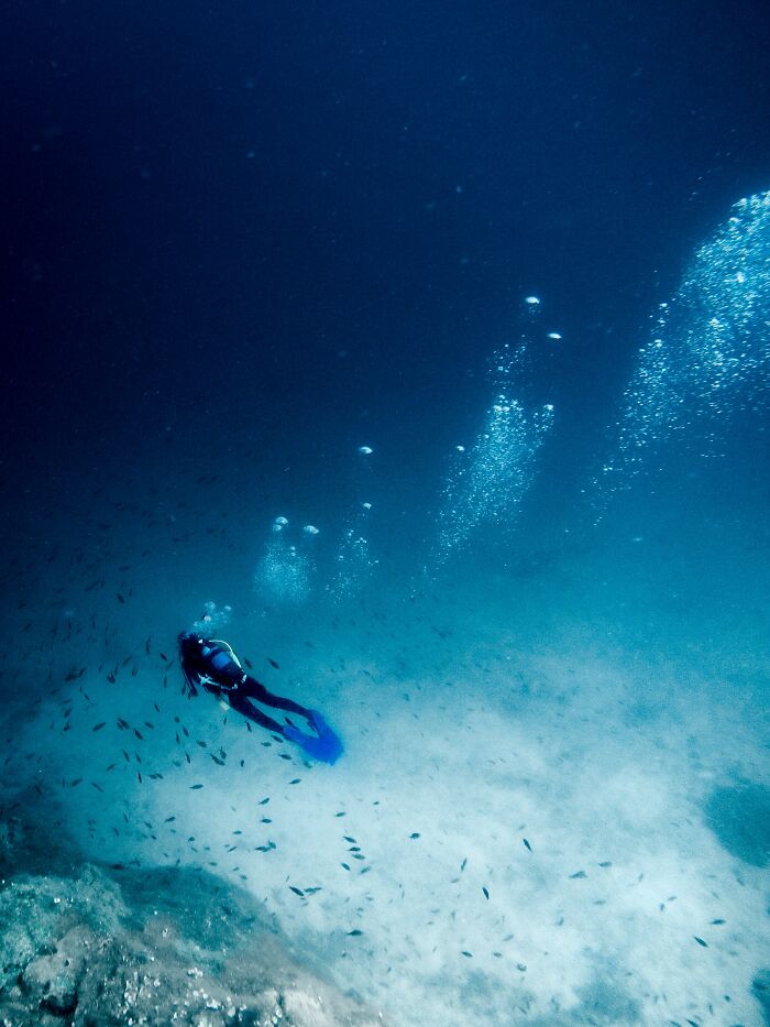 Pretty much anything that moves under the water is creepy if my head is above water. Under the water it's the opposite. Nothing bugs me. I've gone diving with sharks many times. They don't make me nervous at all. Jellyfish do though, especially in southeast Asia.


The one time I was really spoked was skin diving in the Galapagos. I went down quite deep (for me), maybe 6-7 meters. I see an absolutely massive manta ray lying on the sea floor. Bigger than me by maybe 40 kilos, maybe more. Continued on my way, looking at the colourful fish. When it came time to ascend, I turned towards the manta again. It had been tracking my movement and moving towards me. When I looked at it, it stopped. I felt like it was up to no good. It felt very threatening. It didn't like me being there or something. Maybe it thought I was lunch. Dunno. I got the f**k out of the water and went to have a beer to calm my nerves.