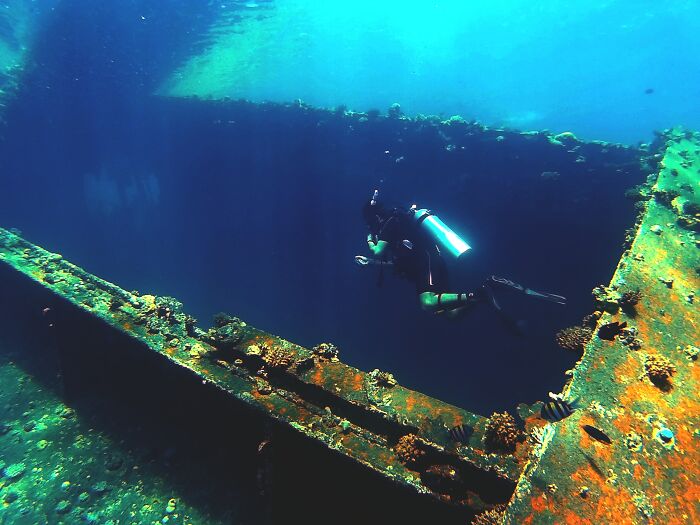 I’ve dove a number of wrecks that were graves (many lives lost / remains still in the wreck). Spookiest though would be diving through a large ship that was lying on its side (so easy to get disoriented). Inexperienced diver in front kicked up a bunch of silt so even with a torch it was black-out conditions and no chance to see where the guide was or know the way out.