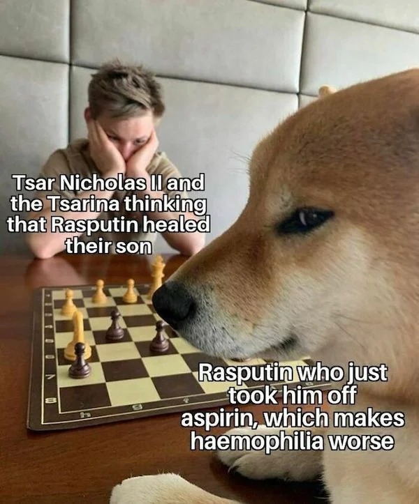 History memes - dog chess meme template - Tsar Nicholas Ii and the Tsarina thinking that Rasputin healed their son T Rasputin who just took him off aspirin, which makes haemophilia worse