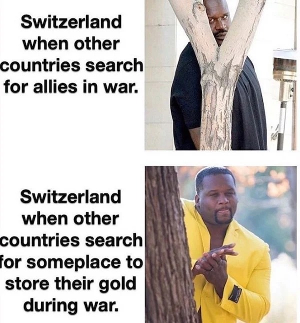 History memes - mosquitoes ankles meme - Switzerland when other countries search for allies in war. Switzerland when other countries search for someplace to store their gold during war.
