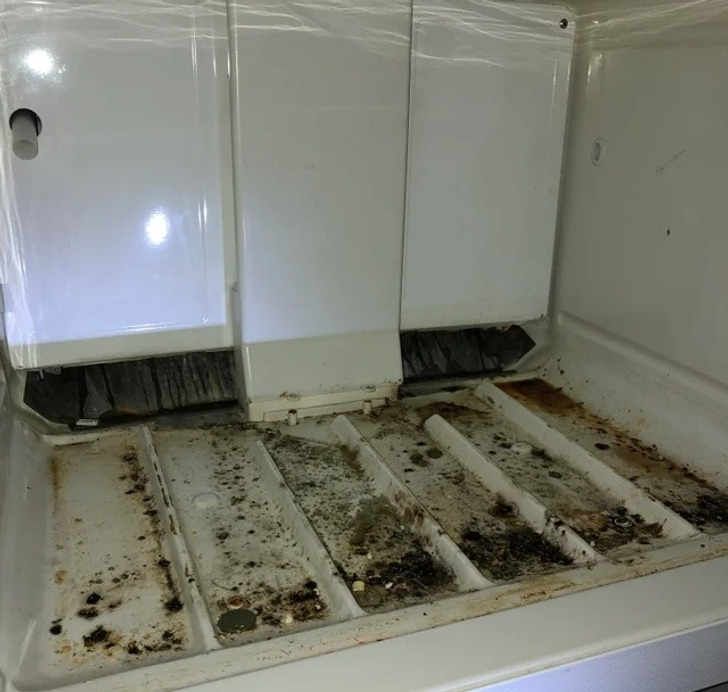 “Just moved into my first rental after college, then I opened the freezer.”