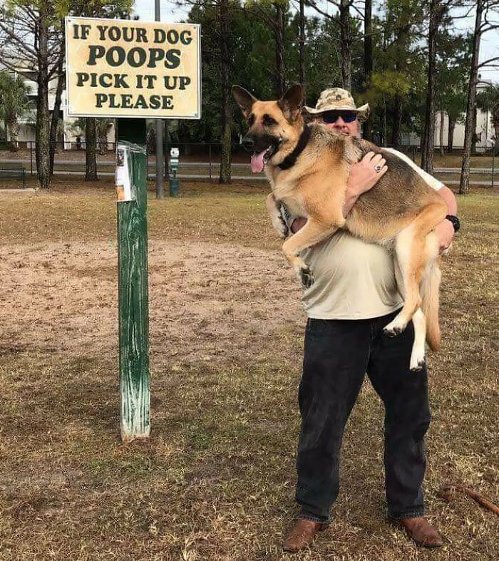 clever and smartass people - pick up dog poop meme - If Your Dog Poops Pick It Up Please