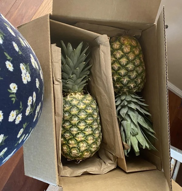 my grandma sends me fruit ever since finding out about my pregnancy. This week it’s pineapples!