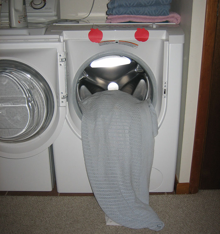 Awful Guests in your Home - washing machine - 271150