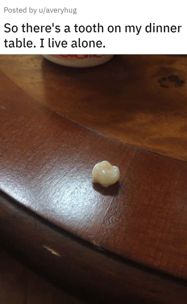 creepy pics - wood - Posted by uaveryhug So there's a tooth on my dinner table. I live alone.