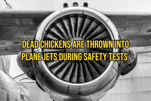 15 Facts About Planes That Are Interesting.