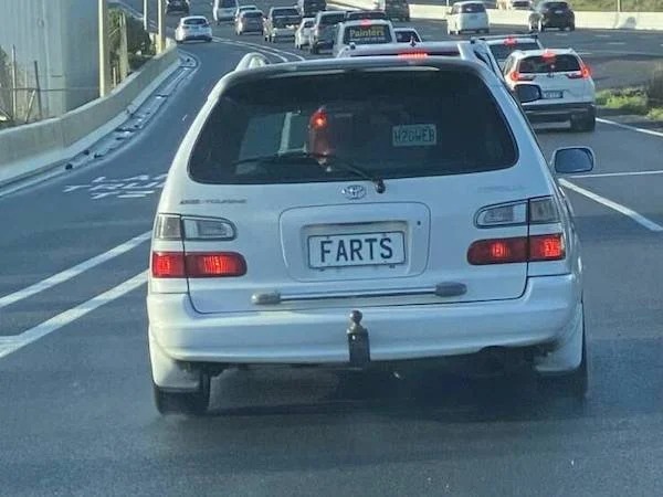 vehicle registration plate - Painters H20WER Farts