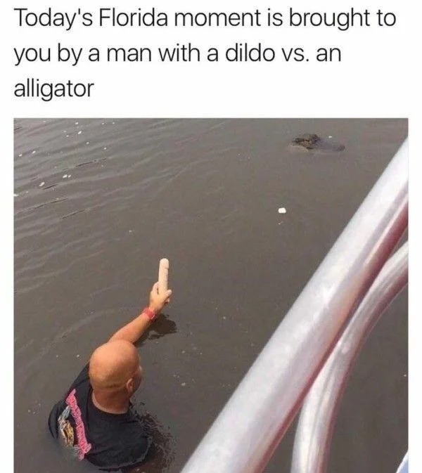 florida funny meme - Today's Florida moment is brought to you by a man with a dildo vs. an alligator