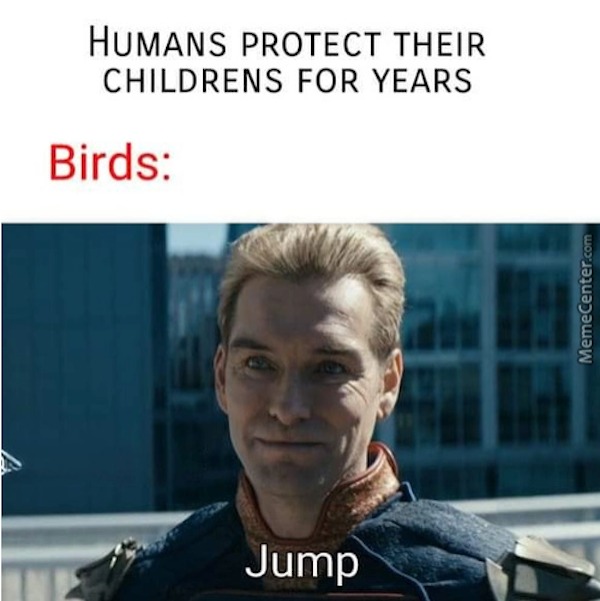 homelander jump meme - Humans Protect Their Childrens For Years Birds Jump MemeCenter.com