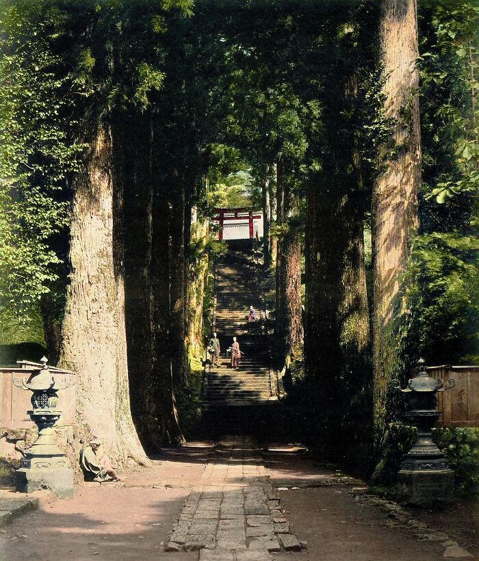 colorized photos from history - Hakone, Japan, A Tree-Lined Avenue Ending In A Flight Of Stairs To A Temple, Photographed By Felice Beato In Ca. 1868