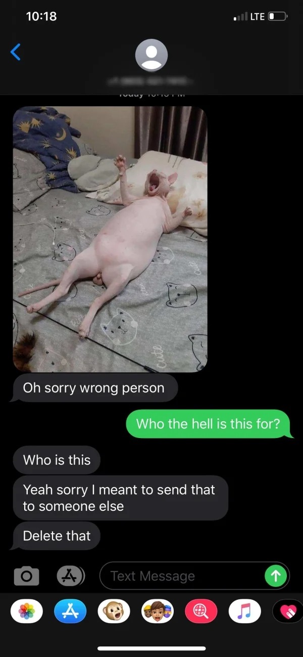 WTF Wrong Number Texts - Oh sorry wrong person Who is this