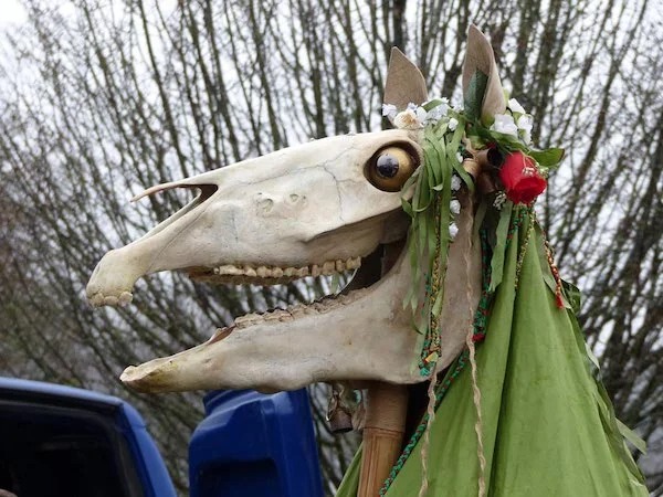 Pictures Filled with Nope - welsh mari lwyd