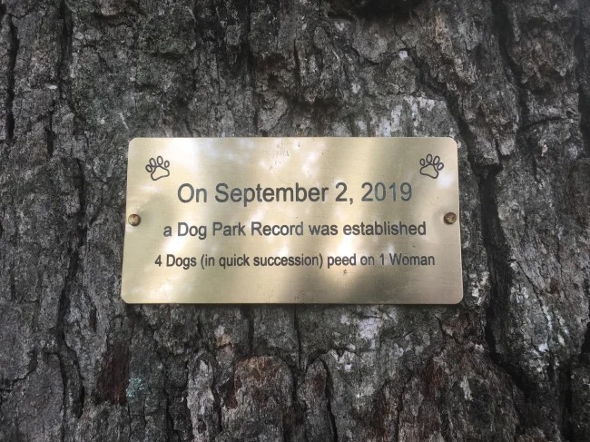 fun facts - tree - On a Dog Park Record was established 4 Dogs in quick succession peed on 1 Woman