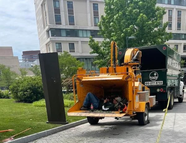 You ever just feel like lounging in a wood chipper?