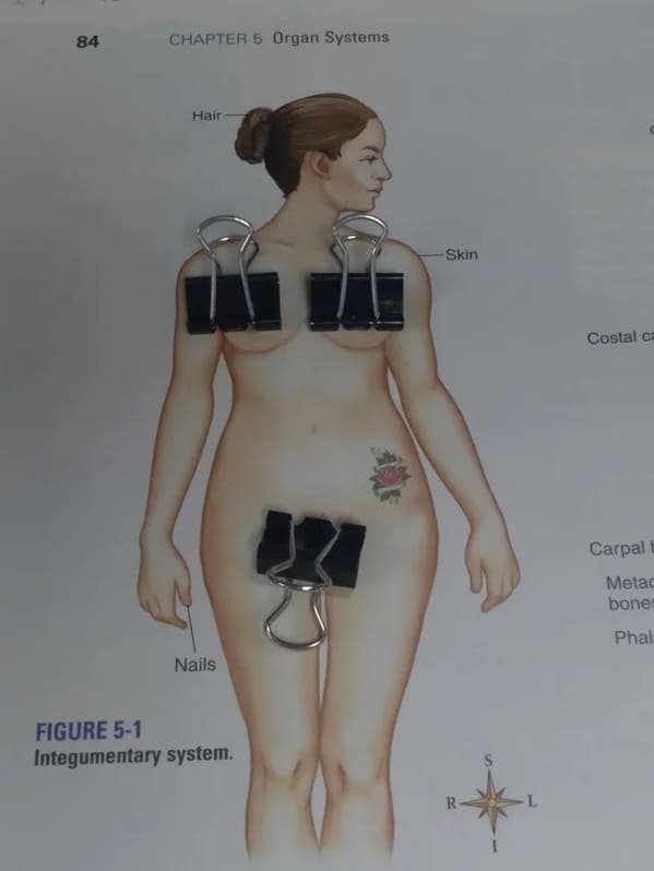 “The model in my biology textbook has a tattoo”