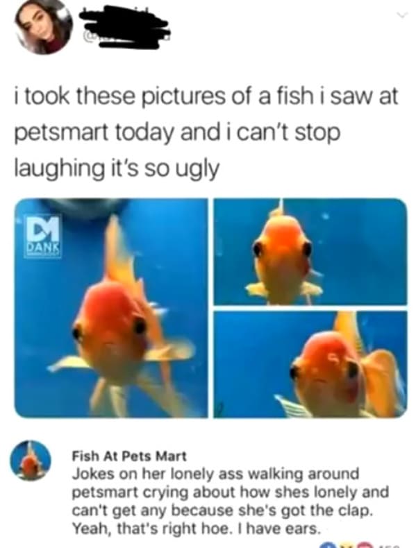funny comebacks and comments - petsmart memes - i took these pictures of a fish i saw at petsmart today and i can't stop laughing it's so ugly M Dank Fish At Pets Mart Jokes on her lonely ass walking around petsmart crying about how shes lonely and can't