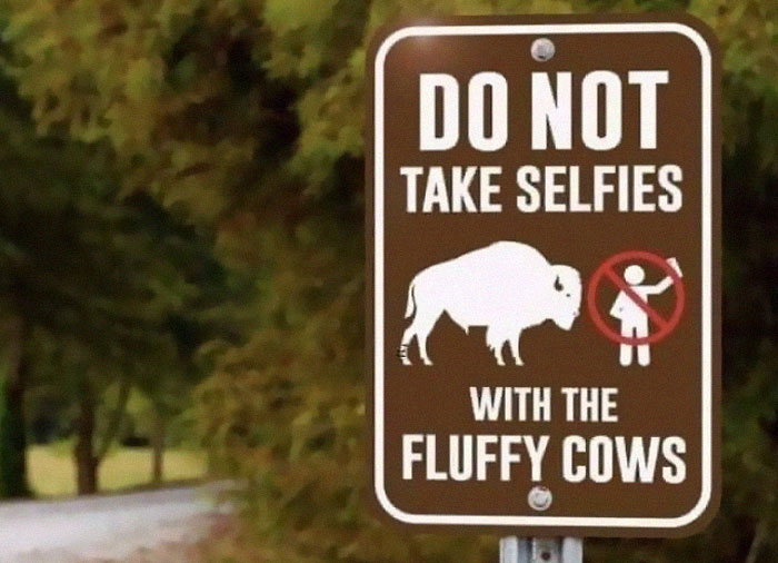 30 Really weird Signs People Spotted In The Wild.