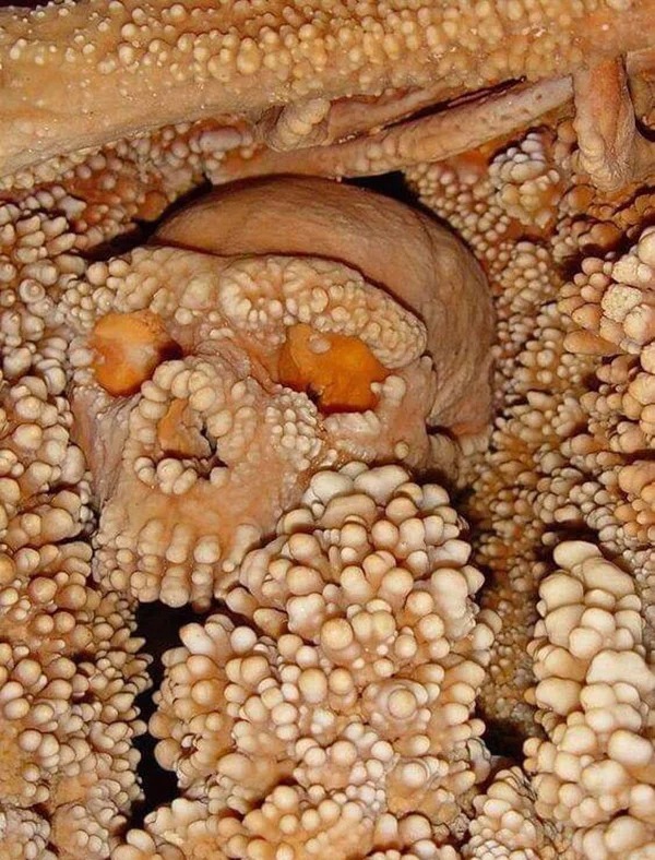 interesting things - discoveries - limestone skull