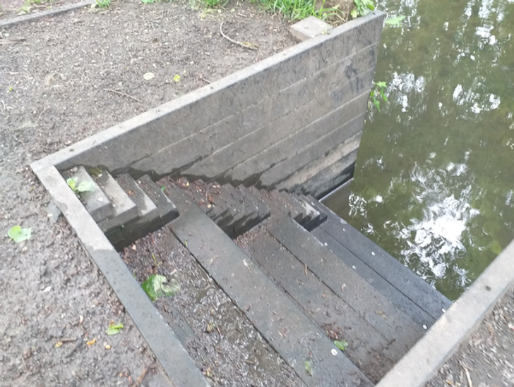 “My local canal has a little staircase for the ducks to get in and out of the water.”